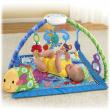 Fisher-Price - Centru activitati Discover Grow Deluxe Musical Mobile Gym