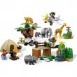 Lego - Duplo - Safari