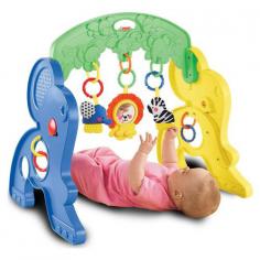 Fisher-Price Link-a-doos Safari Activity Gym