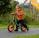 Berg Toys - Bicicleta Berg Biky Grey