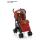 Inglesina - Carucior Zippy 2011