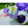 Fisher-Price - Tricicleta 3 in 1 Royal Violet