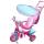 Feber - Tricicleta Baby Plus Music Girl