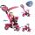 Smart Trike - Tricicleta Smart Trike 3 in 1 Zoo Butterfly