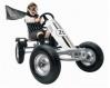 Berg Toys - Kart BERG Silver Race 25 (editie limitata)